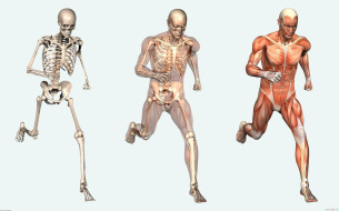 Fundamentos Biológicos, Salud y Primeros Auxilios