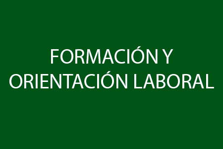 Formación y Orientación Laboral