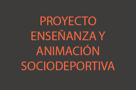 Proyecto Enseñanza y Animación Sociodeportiva