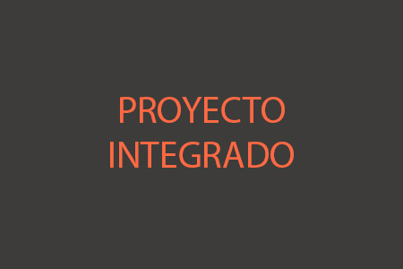 Proyecto Integrado